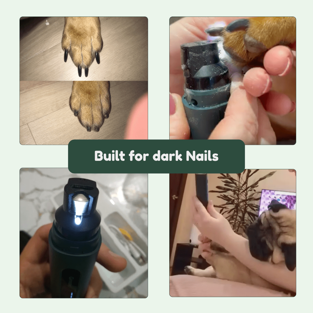 Feluur Pet Grinder Pro