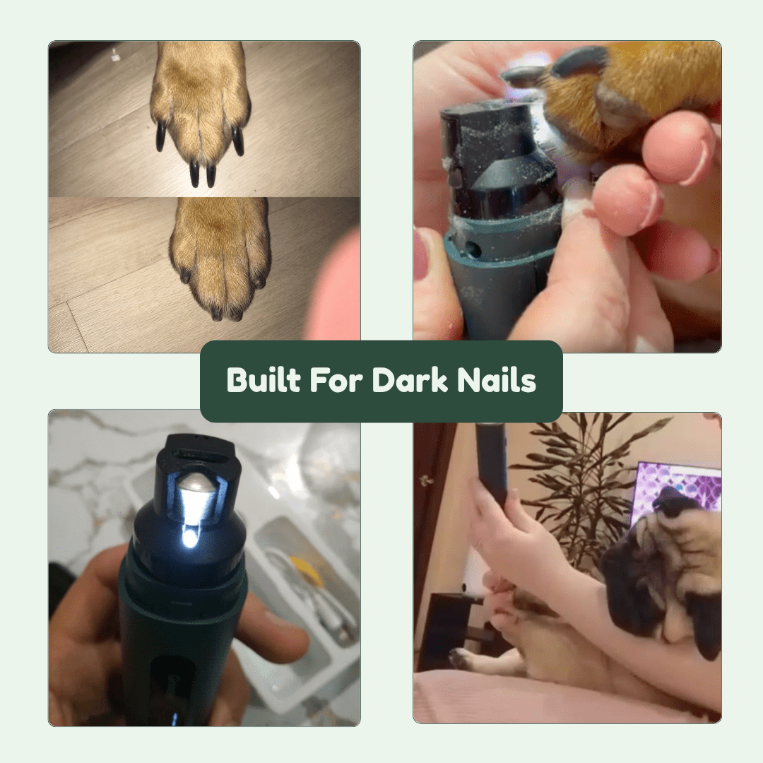 Feluur Pet Grinder Pro