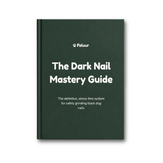 The Dark Nails Mastery Guide