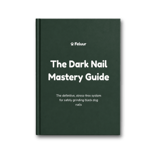 The Dark Nails Mastery Guide