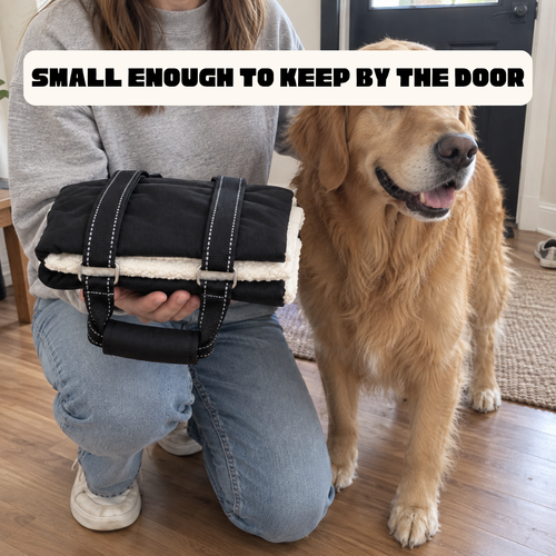 Lifto - Rear Support Sling